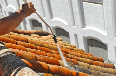 Démoussage de toiture à Mornac sur Seudre